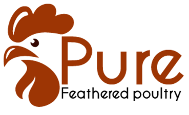 pure feathered poultry