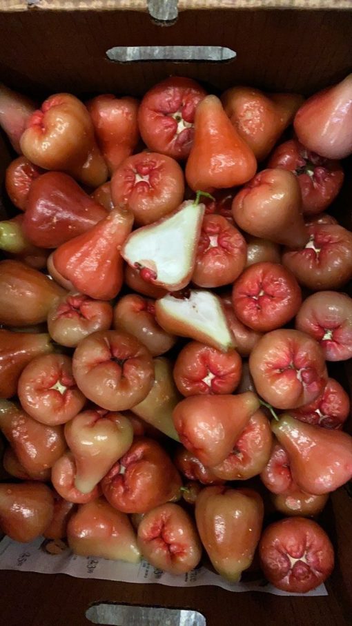 ROSE APPLE - 10lbs - Image 3