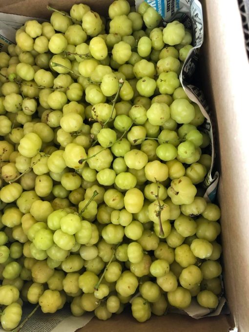 GOOSEBERRY - 10lbs - Image 4