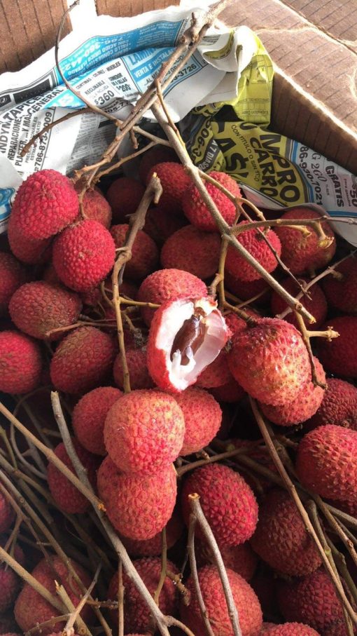 LYCHEE - 10lbs - Image 2