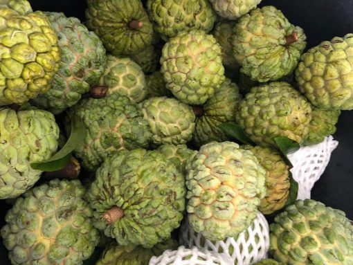 SUGAR APPLE - 10lbs - Image 4