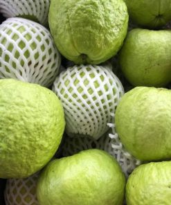 GUAVA - 10lbs