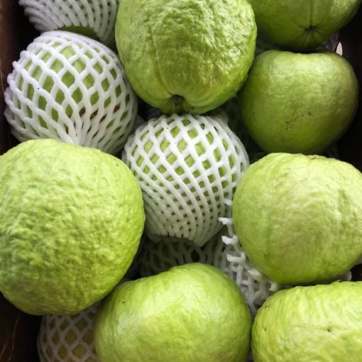 GUAVA - 10lbs