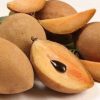 SAPODILLA -10lbs