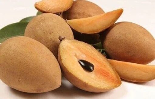 SAPODILLA -10lbs